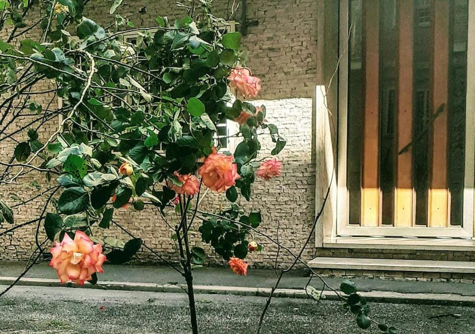 Apartament Casa Rosi Rzym Zewnętrze zdjęcie